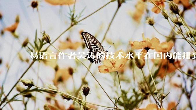 易语言作者吴涛的技术水平在国内能排到什么级别？